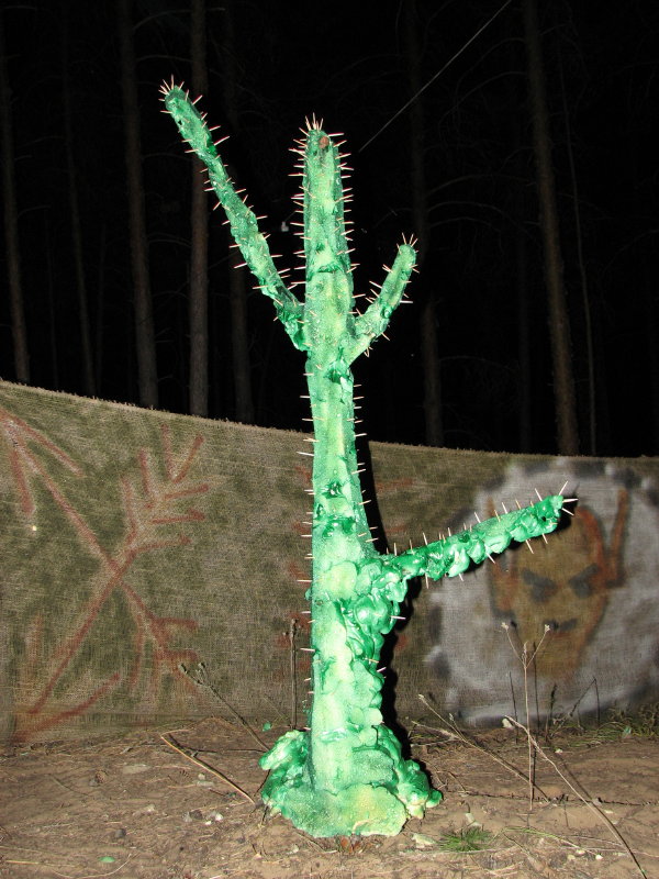 IMG_2230.jpg - ���-2007