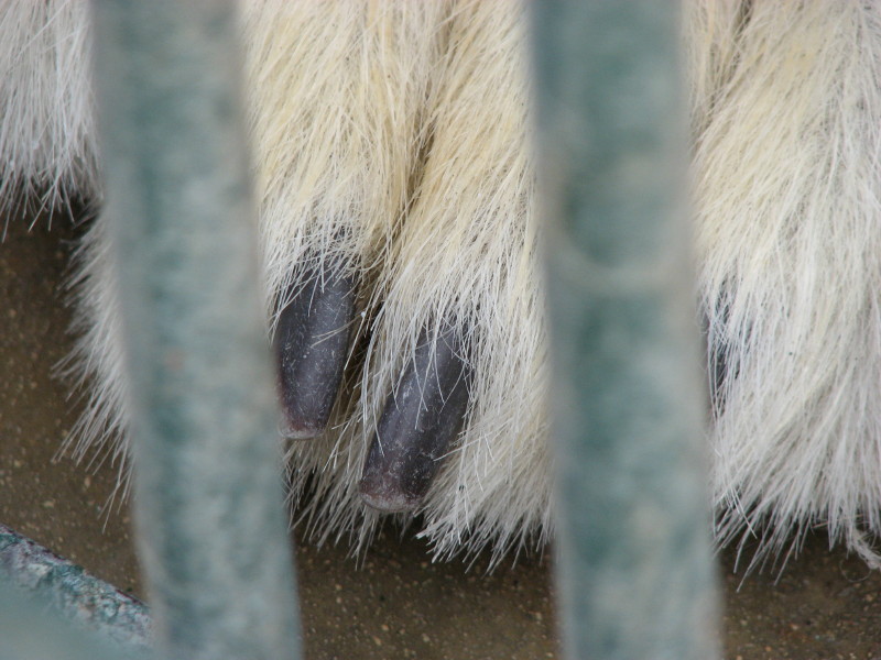 IMG_0004.jpg - ������ ���������� � ������������ ����������� ��������