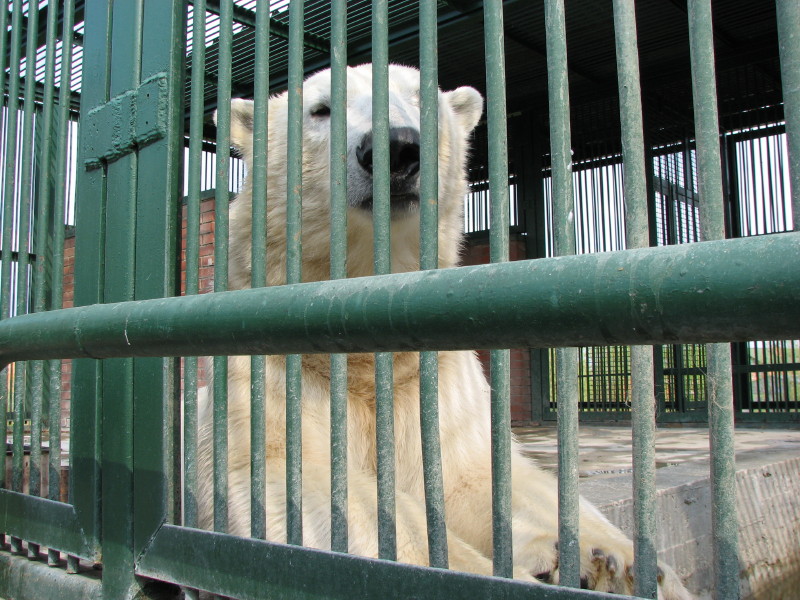 IMG_0005.jpg - ������ ���������� � ������������ ����������� ��������