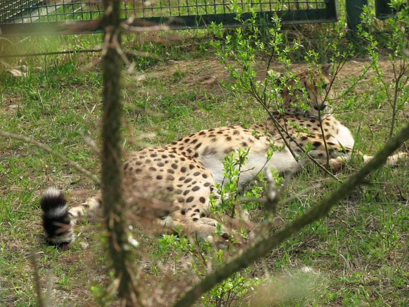 IMG_0007.jpg - ������ ���������� � ������������ ����������� ��������