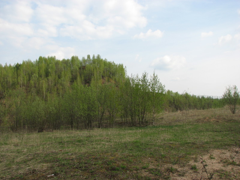 IMG_0008.jpg - ������ ���������� � ������������ ����������� ��������