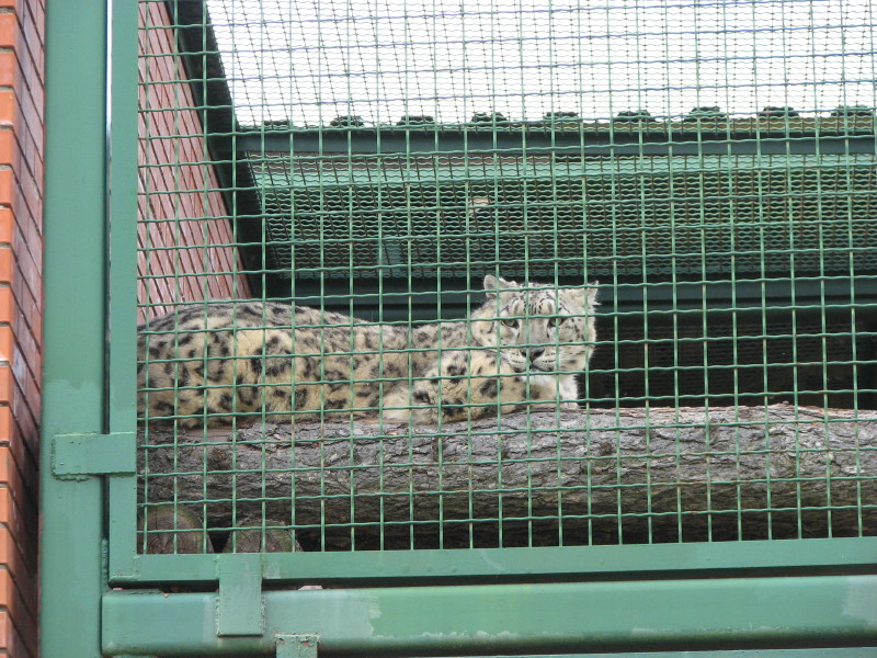 IMG_0009.jpg - ������ ���������� � ������������ ����������� ��������