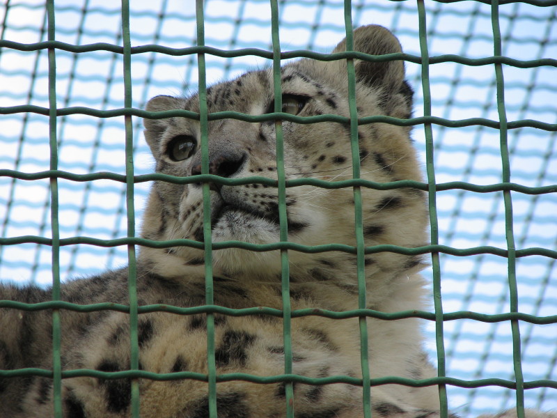 IMG_0010.jpg - ������ ���������� � ������������ ����������� ��������