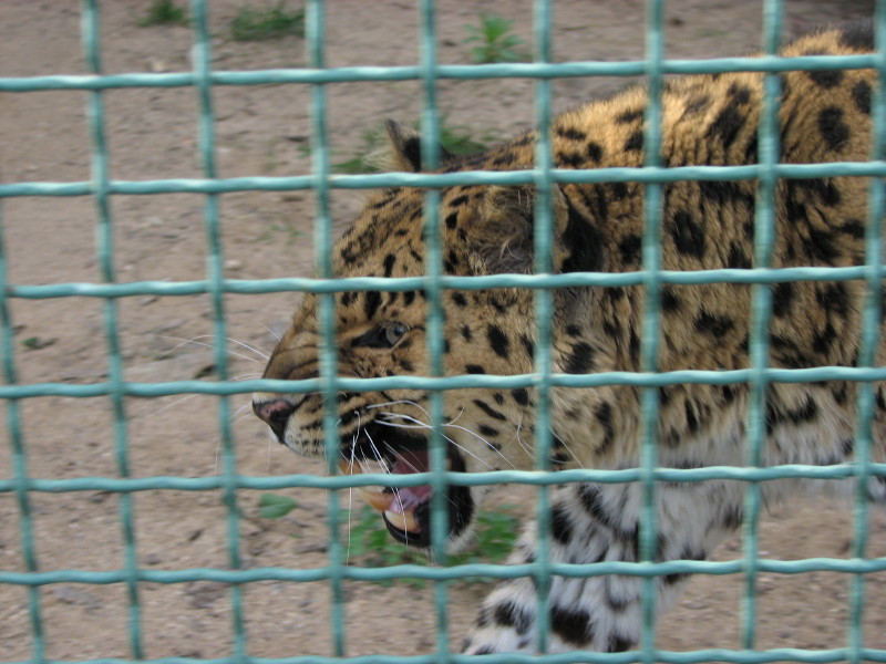 IMG_0011.jpg - ������ ���������� � ������������ ����������� ��������