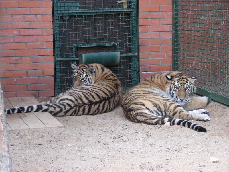 IMG_0014.jpg - ������ ���������� � ������������ ����������� ��������