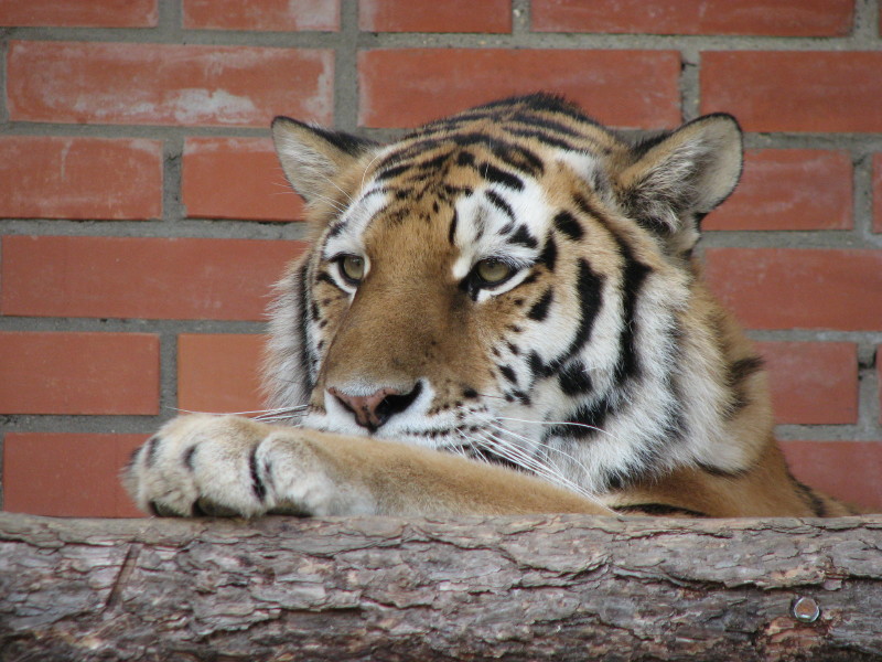 IMG_0015.jpg - ������ ���������� � ������������ ����������� ��������