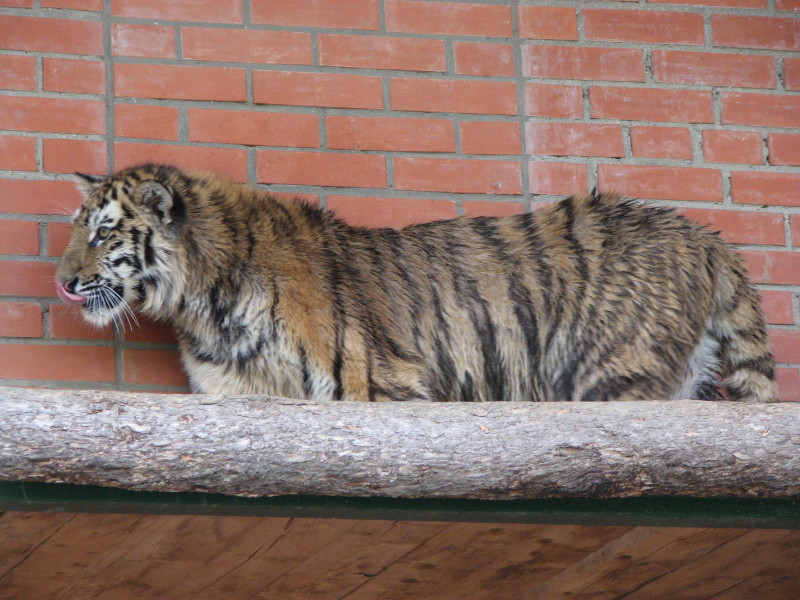 IMG_0016.jpg - ������ ���������� � ������������ ����������� ��������