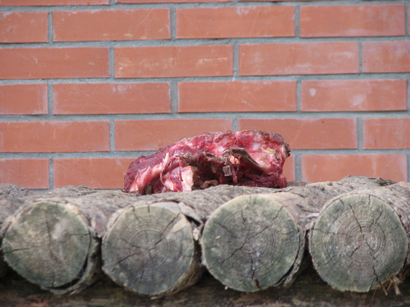 IMG_0017.jpg - ������ ���������� � ������������ ����������� ��������