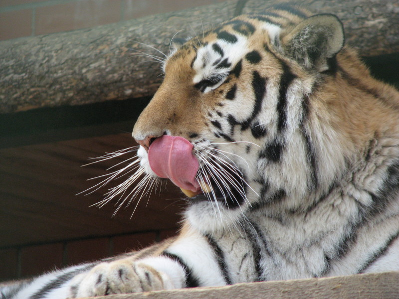 IMG_0018.jpg - ������ ���������� � ������������ ����������� ��������