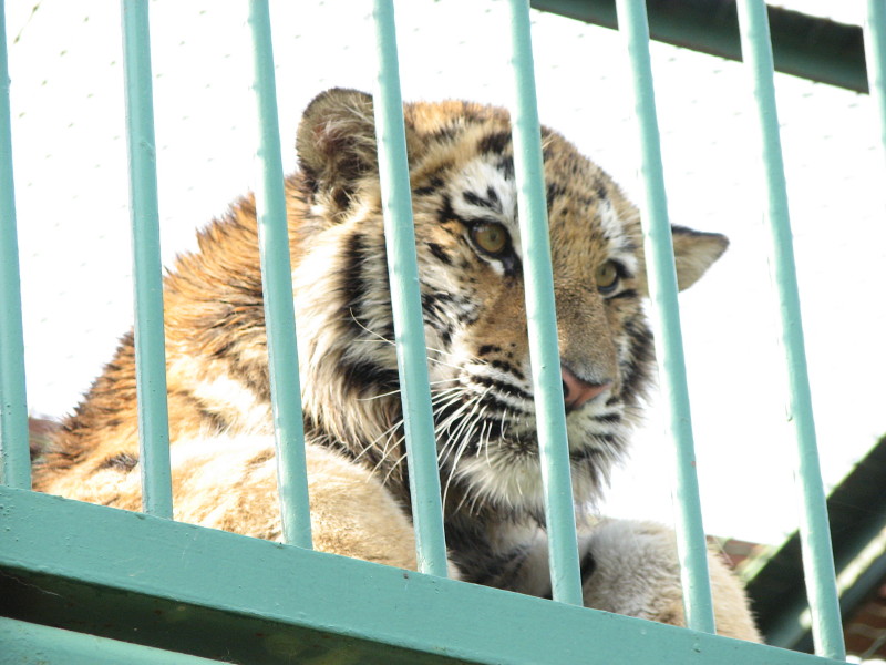 IMG_0020.jpg - ������ ���������� � ������������ ����������� ��������