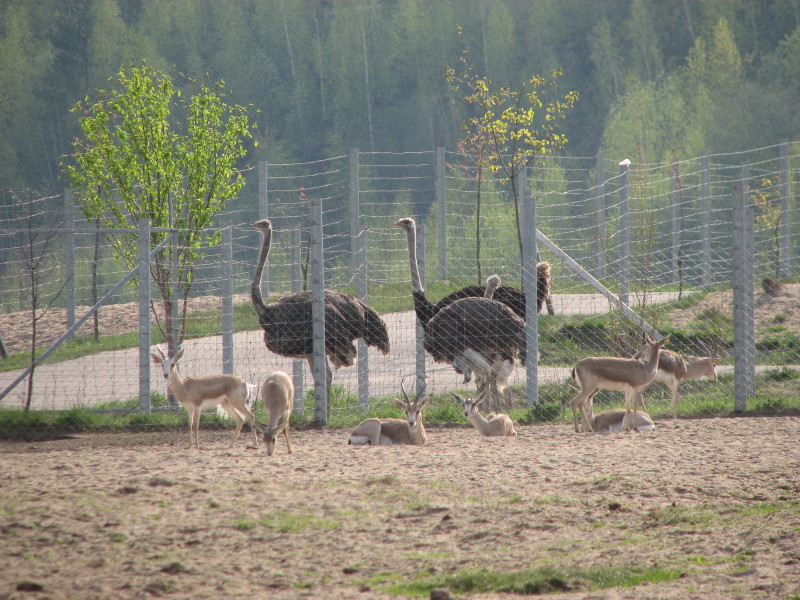 IMG_0024.jpg - ������ ���������� � ������������ ����������� ��������