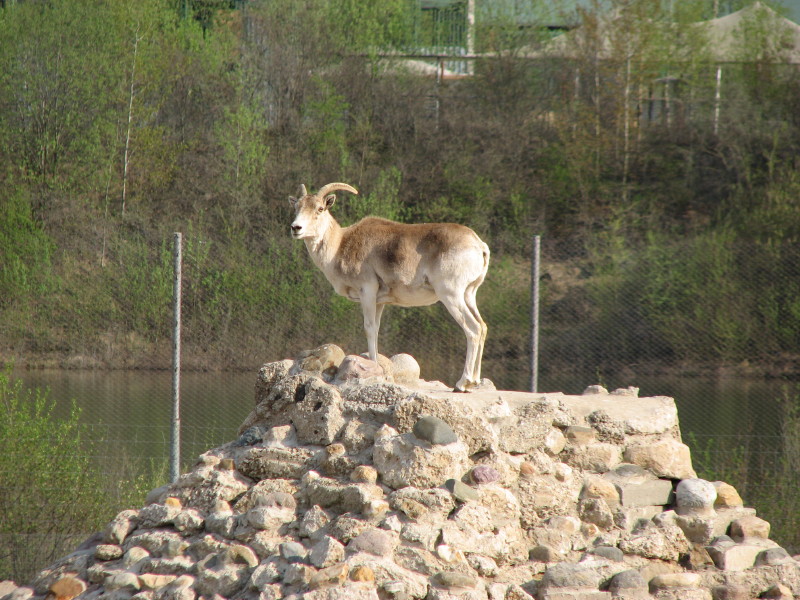 IMG_0026.jpg - ������ ���������� � ������������ ����������� ��������