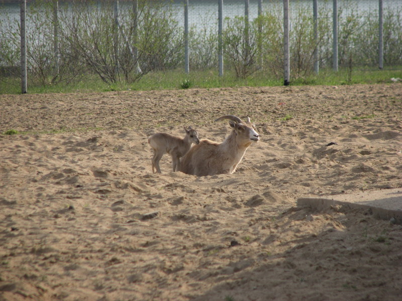 IMG_0030.jpg - ������ ���������� � ������������ ����������� ��������