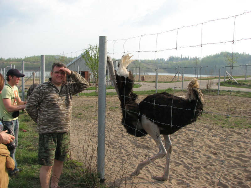 IMG_0033.jpg - ������ ���������� � ������������ ����������� ��������