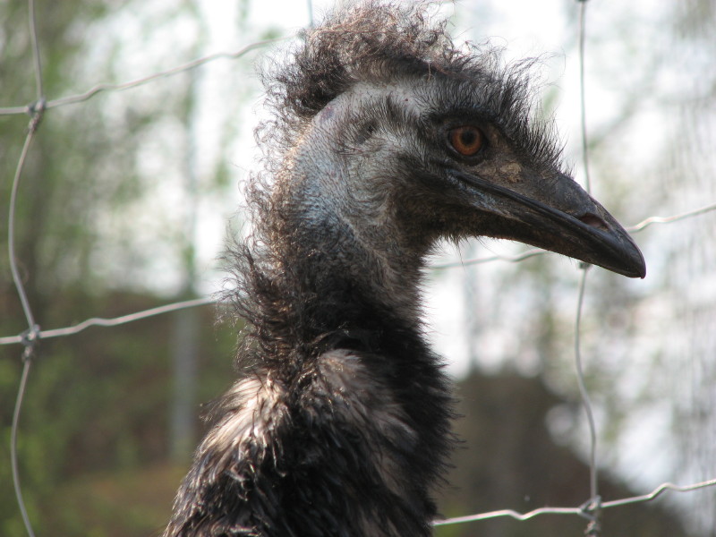 IMG_0037.jpg - ������ ���������� � ������������ ����������� ��������