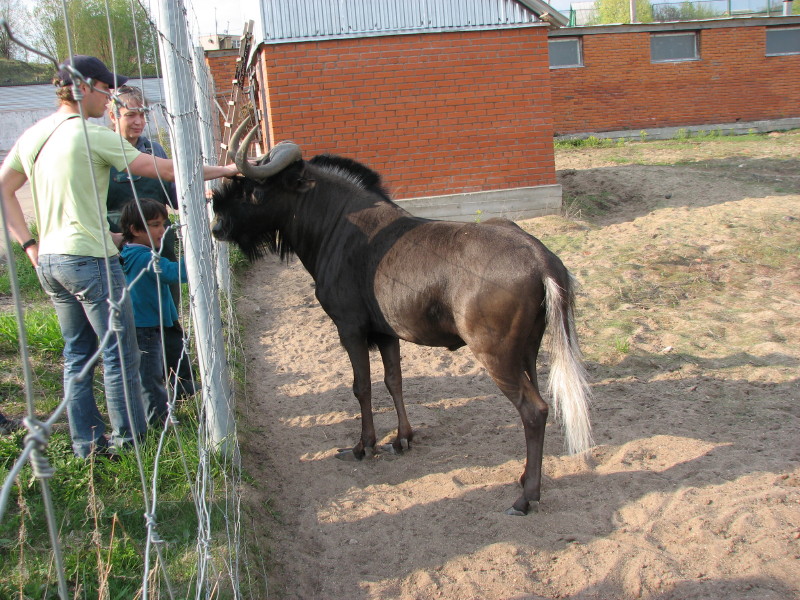 IMG_0038.jpg - ������ ���������� � ������������ ����������� ��������