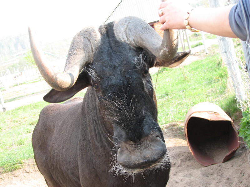 IMG_0039.jpg - ������ ���������� � ������������ ����������� ��������