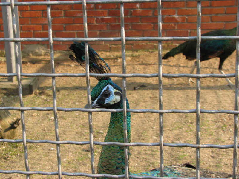 IMG_0040.jpg - ������ ���������� � ������������ ����������� ��������