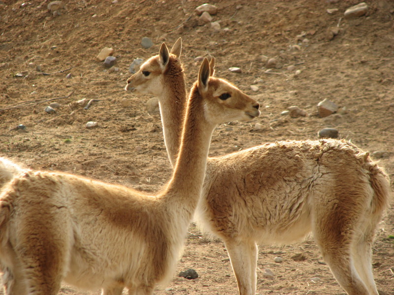 IMG_0041.jpg - ������ ���������� � ������������ ����������� ��������