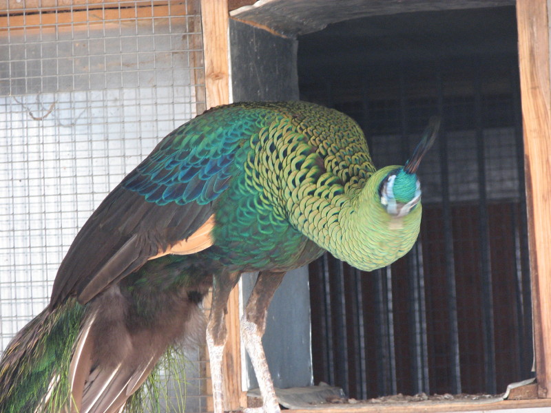 IMG_0043.jpg - ������ ���������� � ������������ ����������� ��������