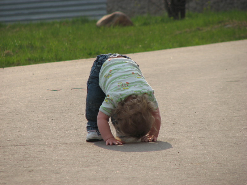 IMG_0044.jpg - ������ ���������� � ������������ ����������� ��������