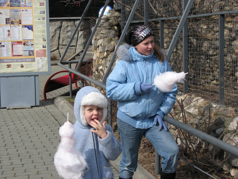 ��������� - ���������� ������� 2009