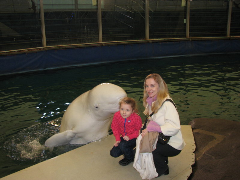 ������ �������� - ���������� ������� 2009