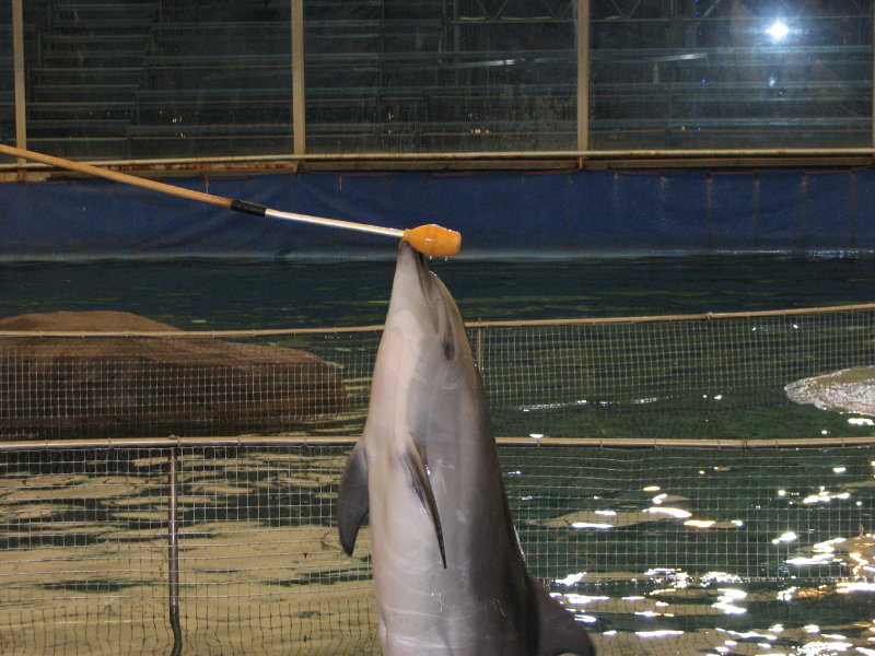 ������� ������ ��������� �� ����� �� ����� - ���������� ������� 2009